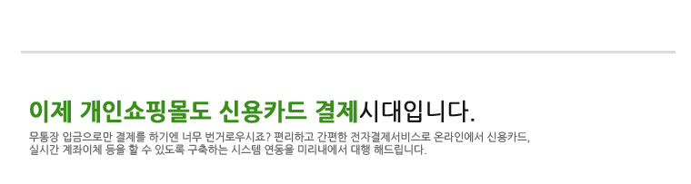 PG서비스 연동 타이틀