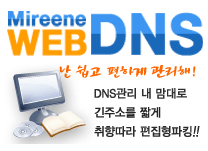  DNS 